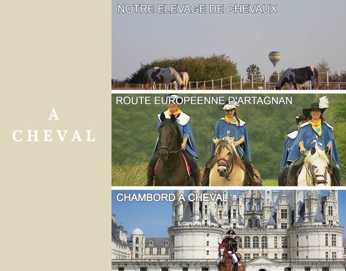 Domaine du Gué du Roi A Cheval