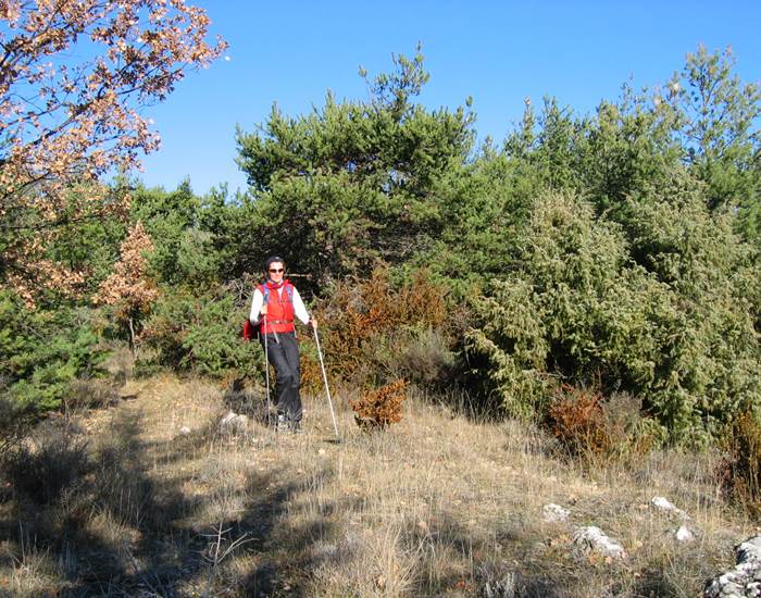 Auberge de 30 pas marche nordique