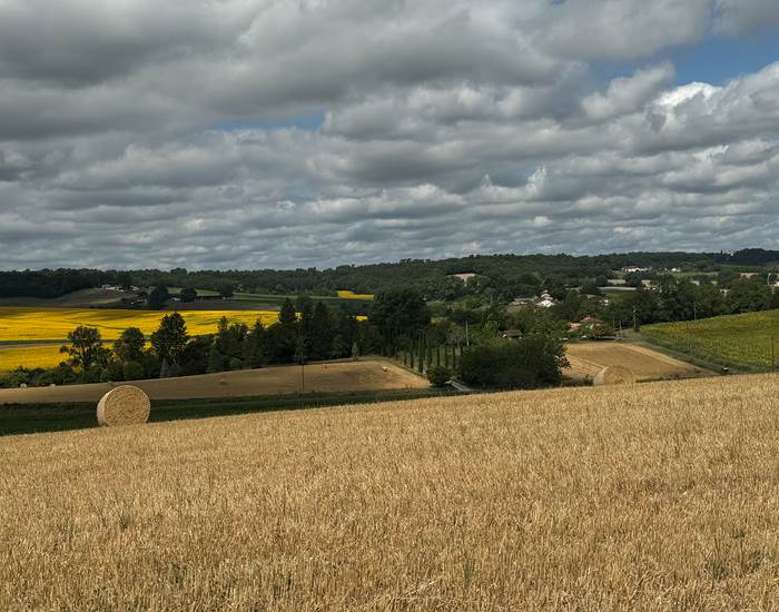 vue sur les champs depuis la terrasse