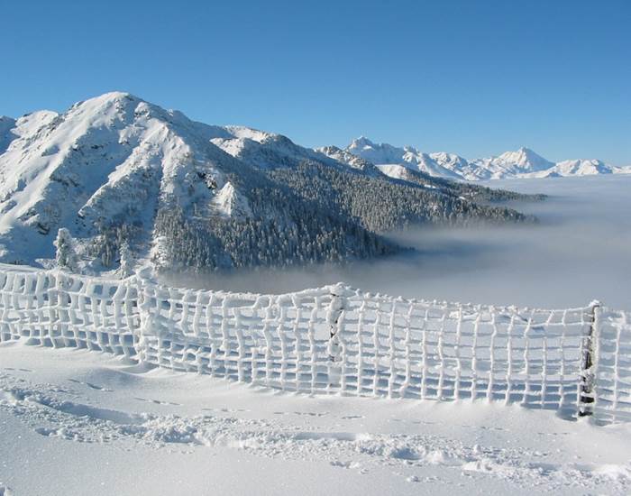 Activités hiver