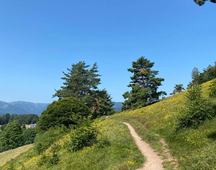 Chemin de randonnée