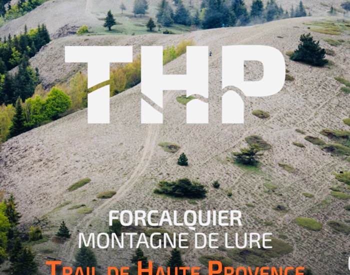 Sans titre