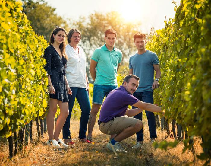 Découverte des vignes