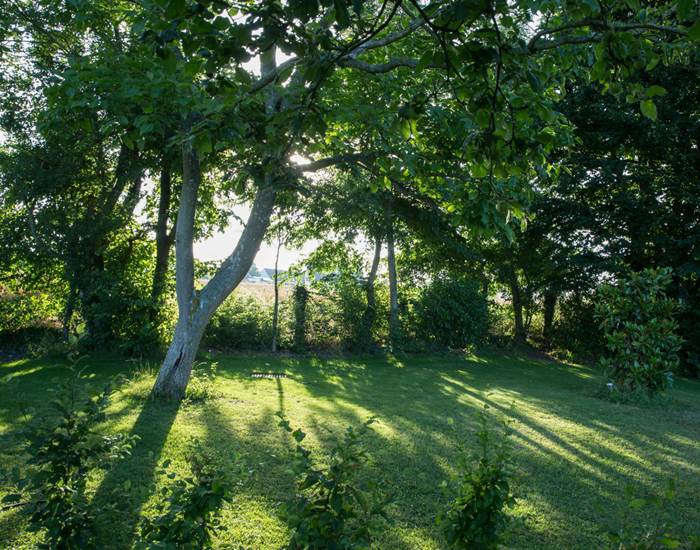 aux3nidsfleuris.magnolia