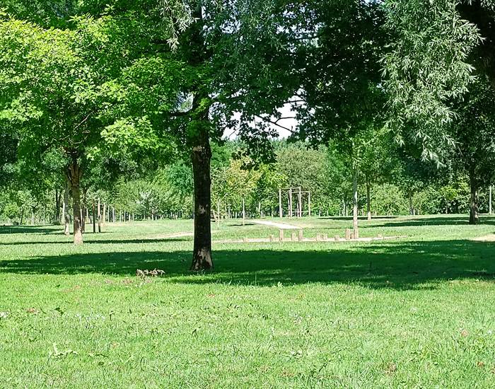 Gîtes, chambre d'hôtes et table d'hôtes gastronomique à Casteljaloux Lot et Garonne, piscine, jacuzzi et spa
