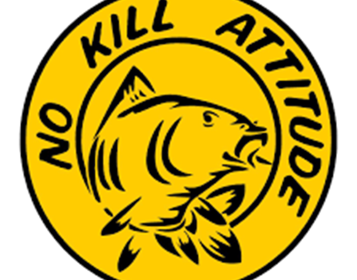 pêche no kill