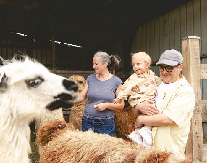 Vos expériences avec les lamas et alpagas de Saint-Aignan