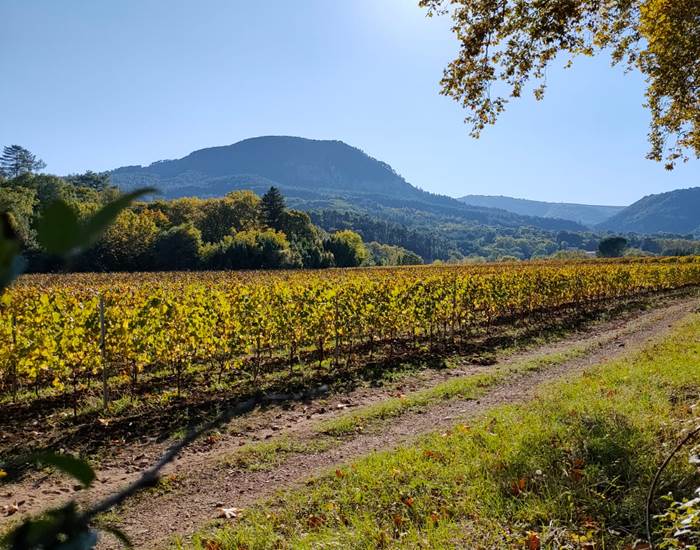 Olmet et Villecun