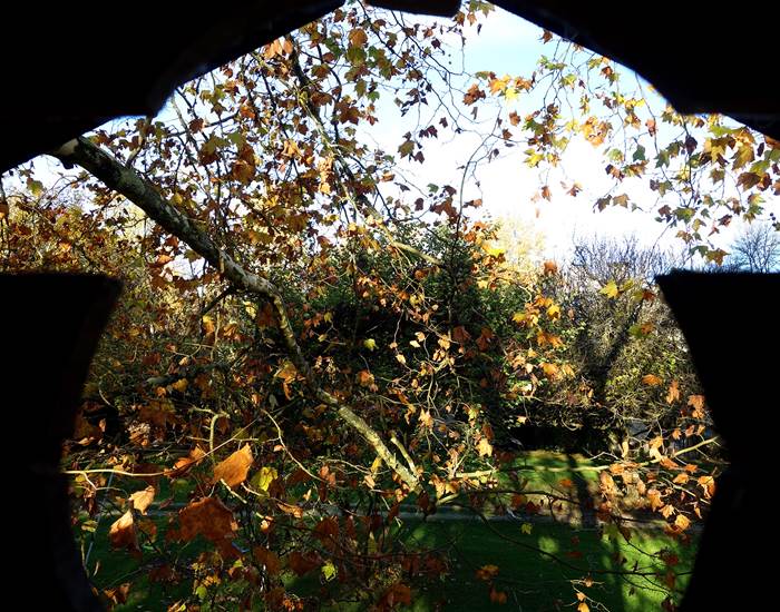 Vue depuis la cabane