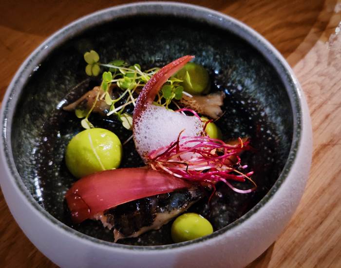 Gîtes, chambre d'hôtes et table d'hôtes gastronomique à Casteljaloux Lot et Garonne, piscine, jacuzzi et spa