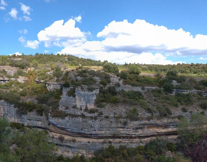 Minerve