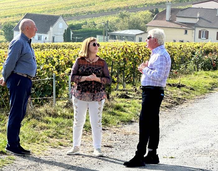Découverte du vignoble de Champagne - Les Suites Champenoises