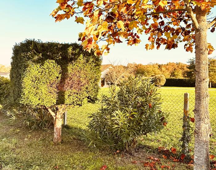 Coupe au cube et effet d'ombre