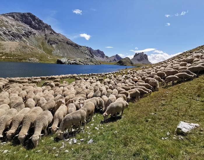 Le lac du Roburent