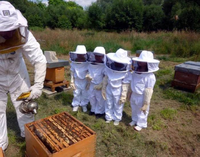 Apprenti apiculteur