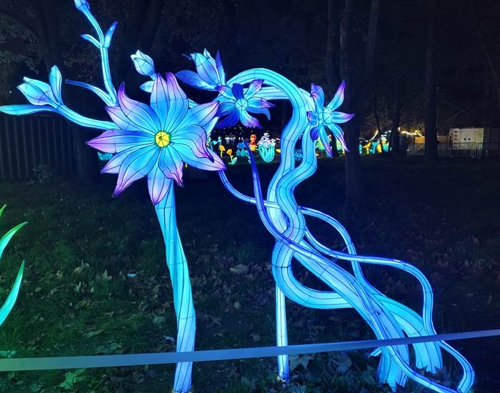 Les Splendeurs de Chine à Céret