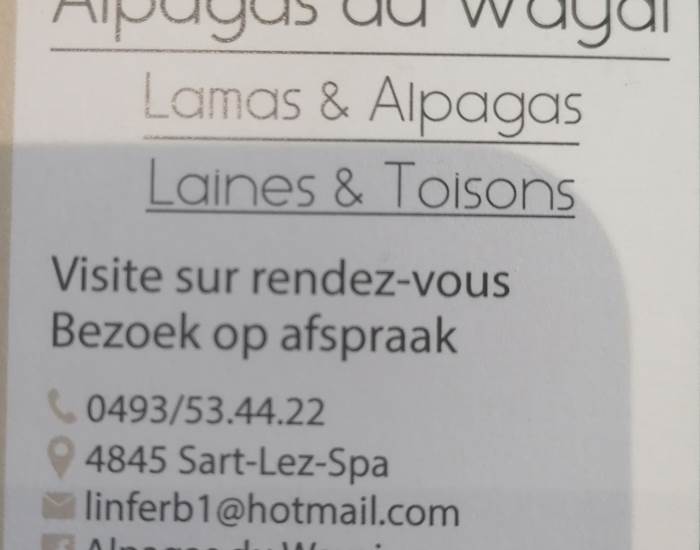 Infos pratiques