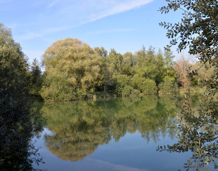 Gîte La Mélinothe à Paisy-Cosdon - Aube en Champagne - Le bucolique plan d'eau de Paisy-Cosdon