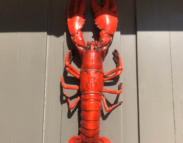 un homard