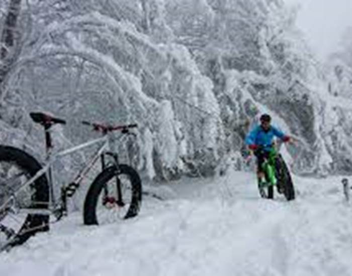 Fat bike