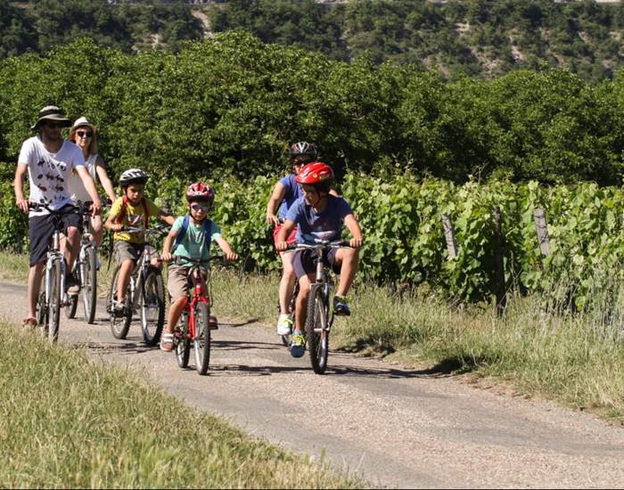 velo-vignes-tarn-marssac-albi-16 bis-gite-hotel
