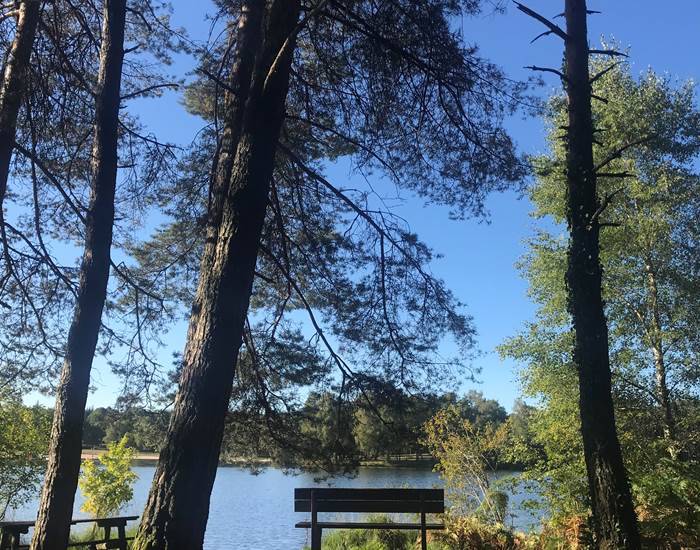 Lac du Miel