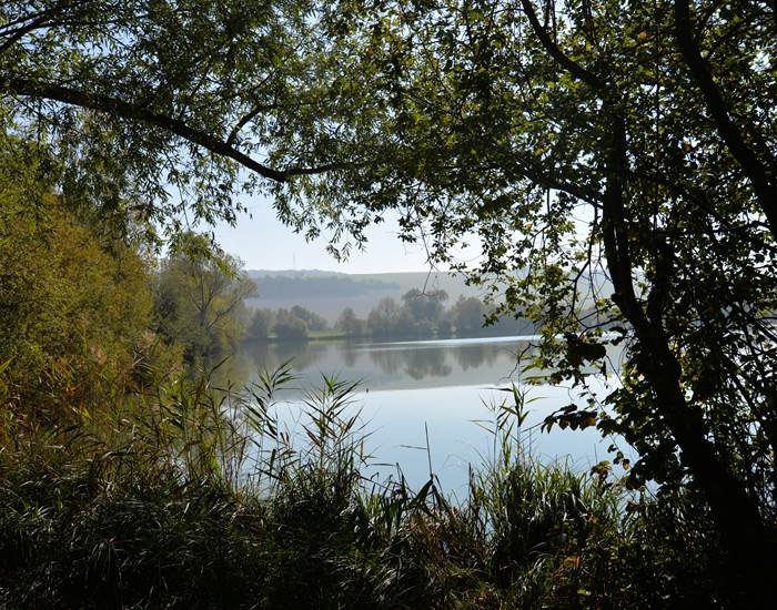Gite La Mélinothe à Paisy-Cosdon - Aube en Champagne - L'étang de Villemaur-sur-Vanne