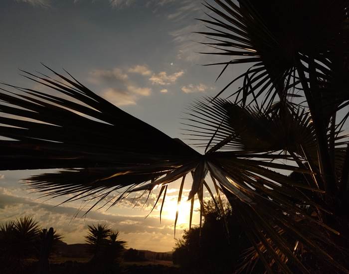 Il fait bon vivre à Le Coq du Nord-Mailhac