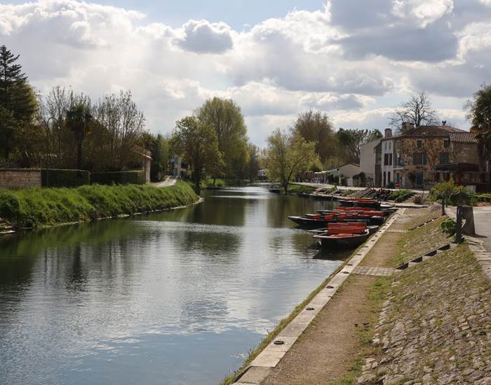 Coulon
