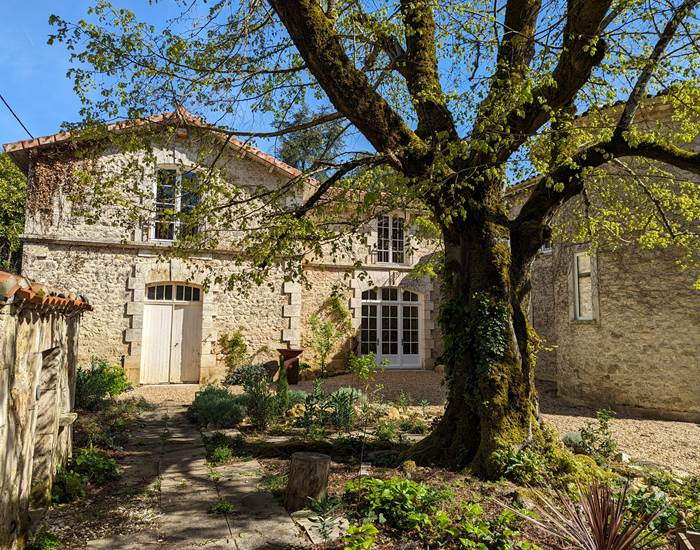 La petite Salamandre