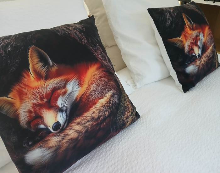 "Le Loft du Renard " endormi