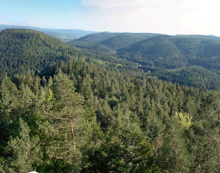 Panorama 1