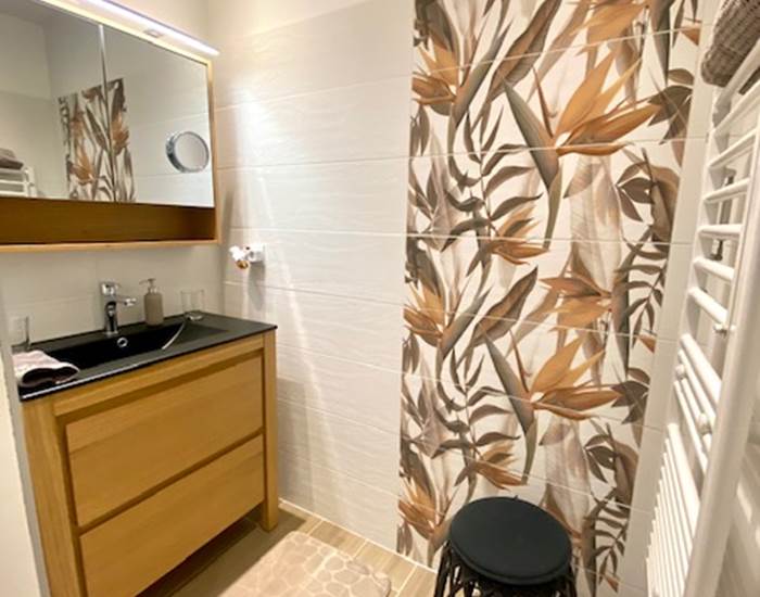 Salle d'eau avec douche