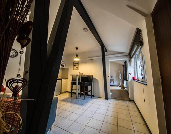 Saint Martin-Vauban-Neuf Brisach01