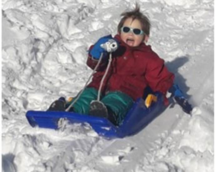 Luge