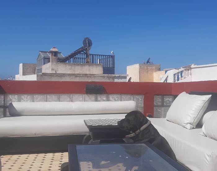Riad Bab Essaouira