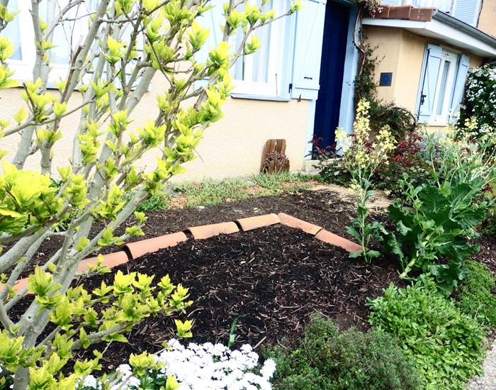 Le jardin du gîte l'Ephémère - Limoges