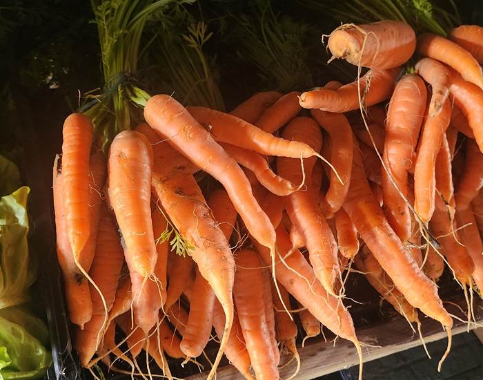 Au marché Limousin - Carottes
