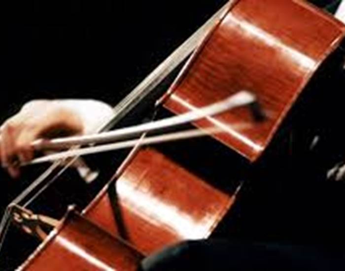 violoncelle