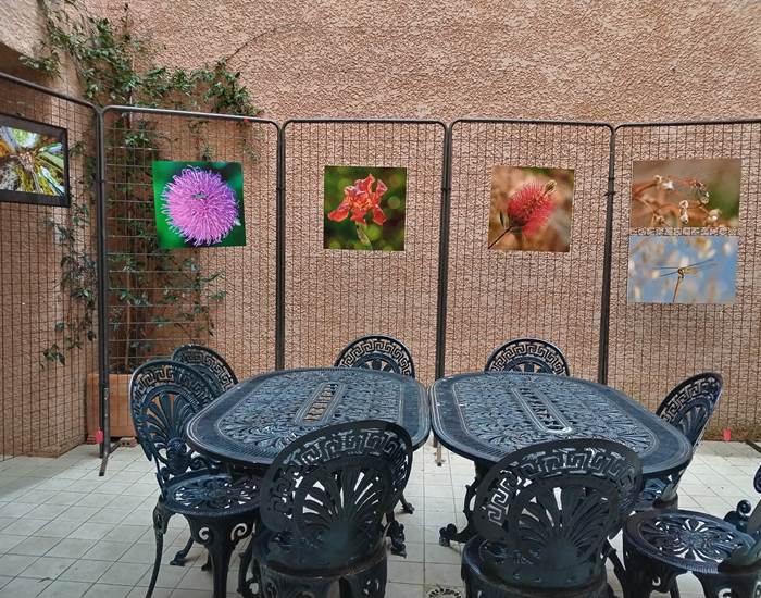 Expostion du club photos de Mailhac à Le Coq du Nord-Mailhac