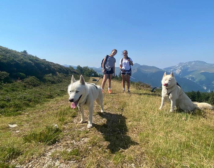 Cani-Rando entre jeunes