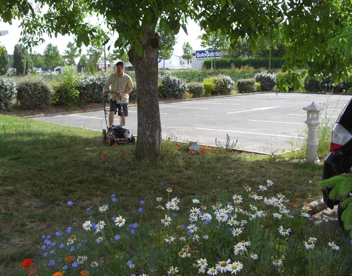 jardin