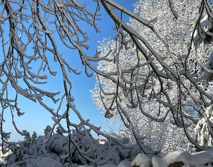 Maison d'hôtes La Chouannerie 15 minutes Puy du Fou-news