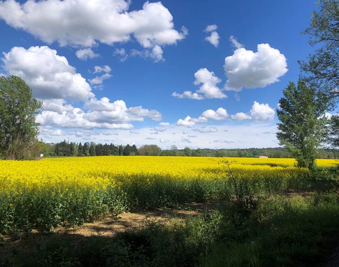 Parc du Rouret