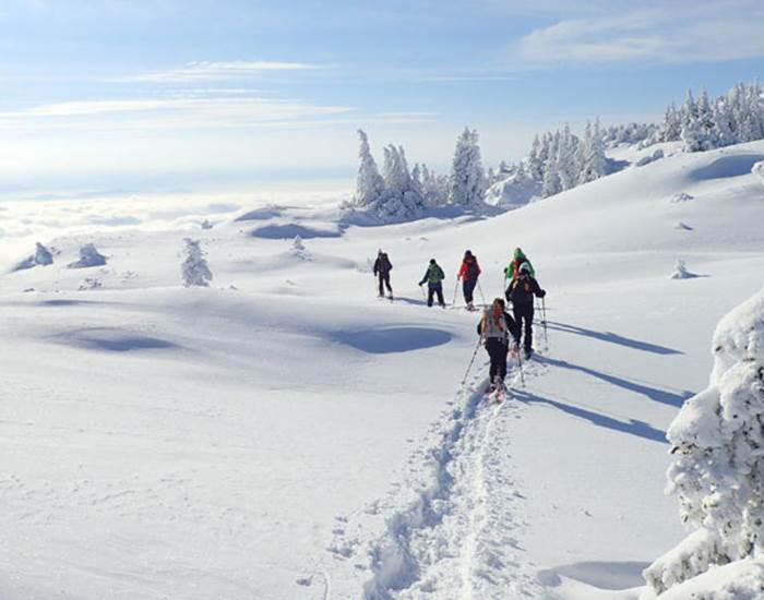 ski de fond dans les vosges