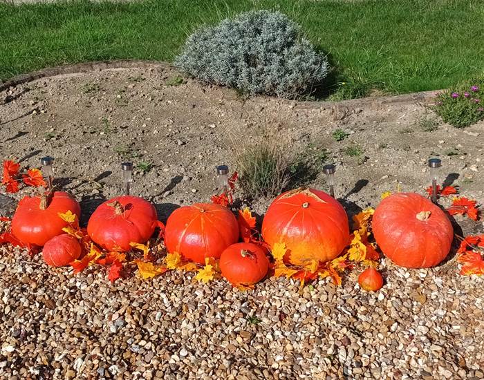 Citrouilles