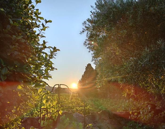 Les sublimes lever de soleil