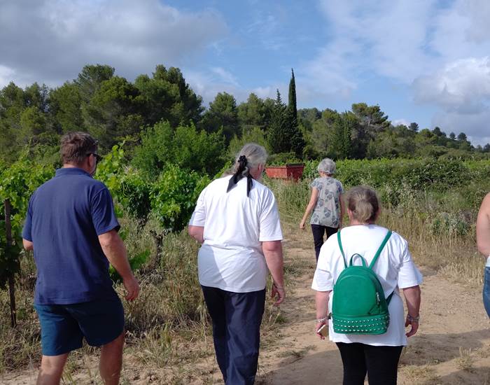 balade vigneronne au coeur des vignes du Domaine "La Tasque"