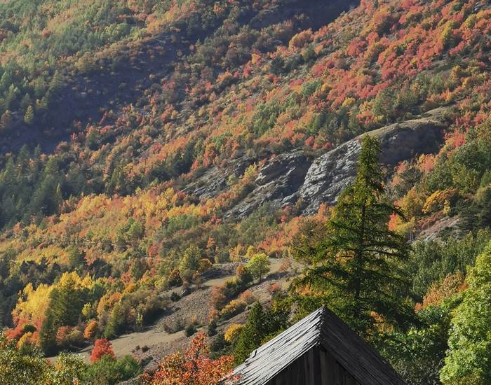 Couleurs d'automne
