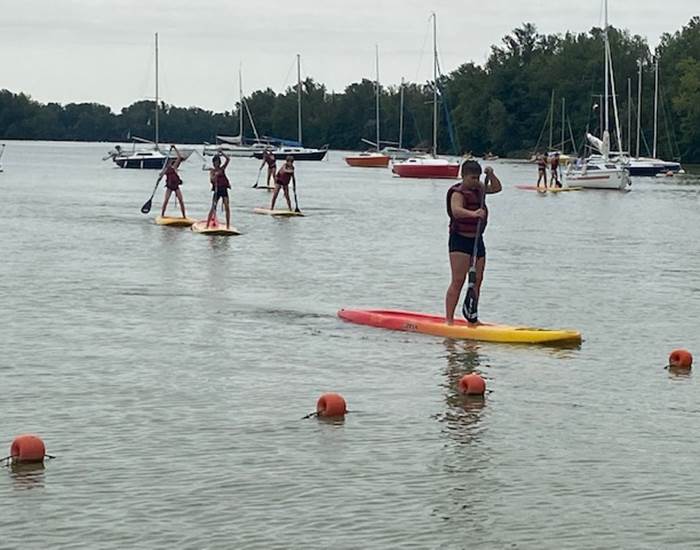 Paddle